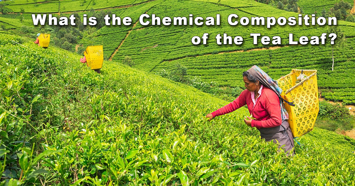 TEA LEAF CHEMICAL COMPOSITION